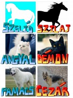 /album/szilaj-es-szelid/pizap-com14221276368861-jpg/