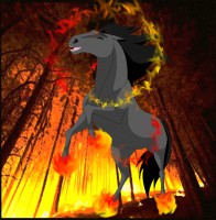 /album/szilaj-es-szelid/fire-horse-by-devilslittleangel777-d3a1cf4-jpg/