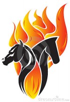 /album/szilaj-es-szelid/fire-horse-12189912-jpg/