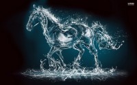 /album/szilaj-es-szelid/water-horse-25297-1920x1200-jpg/