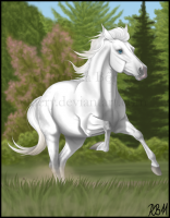 /album/szilaj-es-szelid/natural-by-eldery-d3c899o-png/