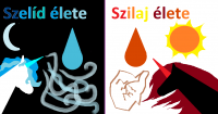 /album/szilaj-es-szelid/a57f9-png/